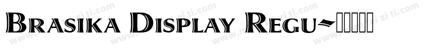Brasika Display Regu字体转换